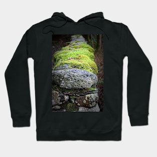 Lakeland wall Hoodie